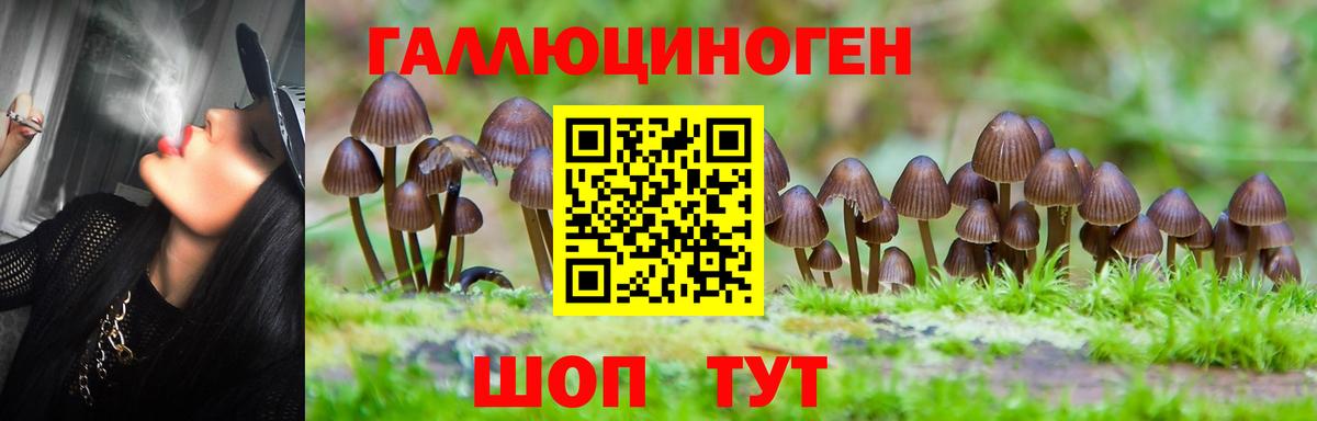 Галлюциногенные грибы мухоморы  Вход с VPN  Галлюциногенные грибы мицелий  Краснокаменск 